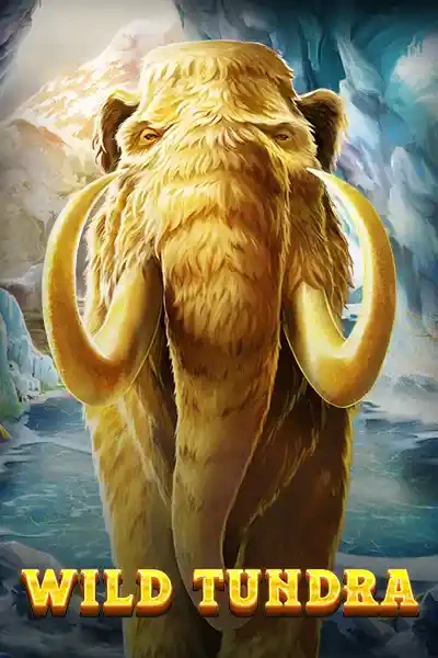 BOM88 Wild Tundra