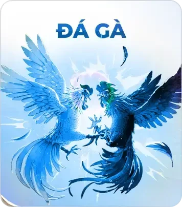 BOM88 Đá gà